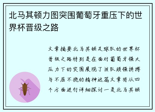北马其顿力图突围葡萄牙重压下的世界杯晋级之路