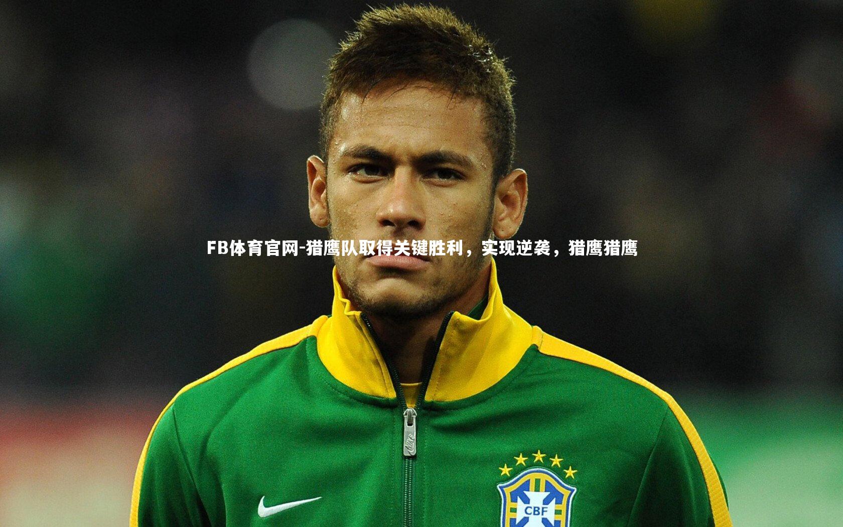 猎鹰队取得关键胜利，实现逆袭，猎鹰猎鹰