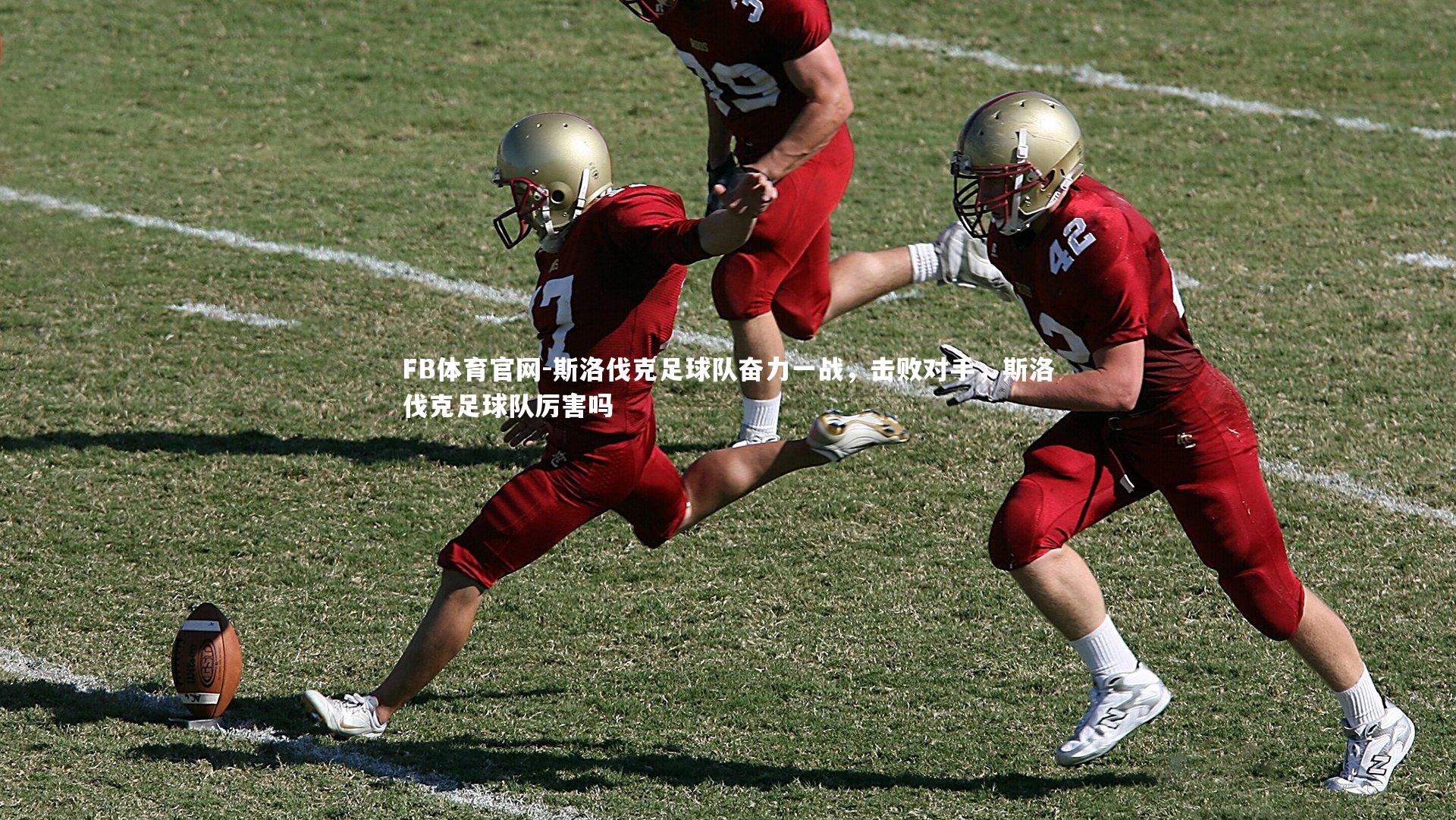 斯洛伐克足球队奋力一战,击败对手,斯洛伐克足球队厉害吗