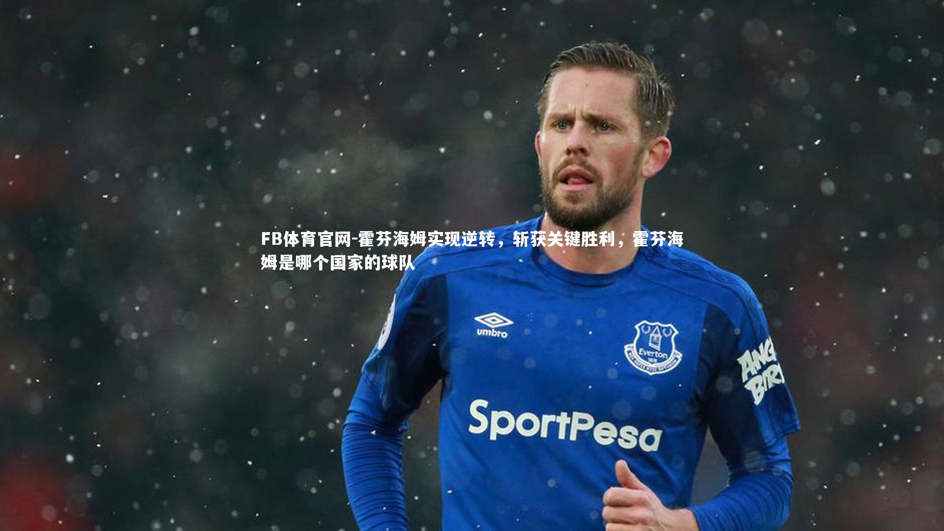 霍芬海姆实现逆转,斩获关键胜利,霍芬海姆是哪个国家的球队