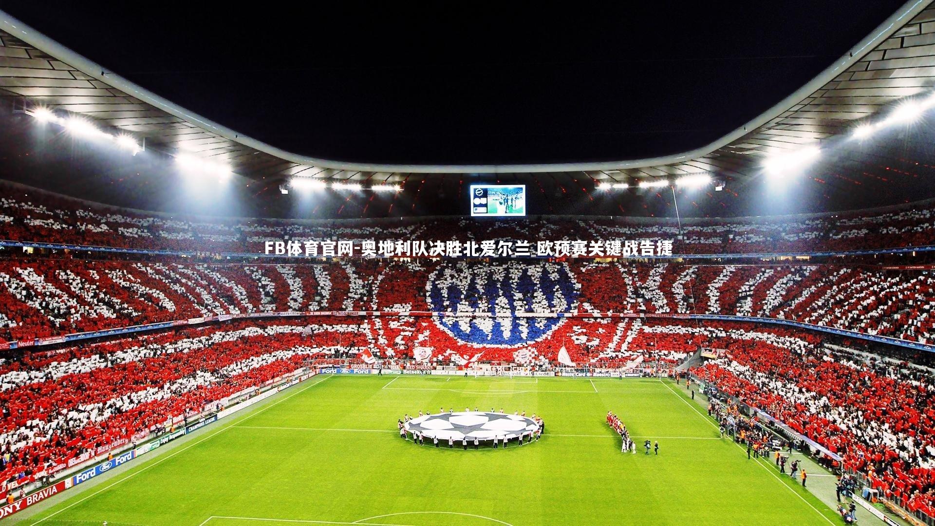 奥地利队决胜北爱尔兰 欧预赛关键战告捷